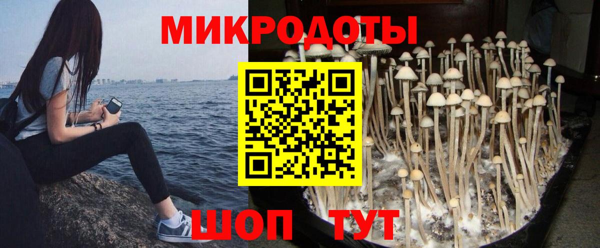 Волгодонск  Галлюциногенные грибы прущие грибы  Вход с VPN 